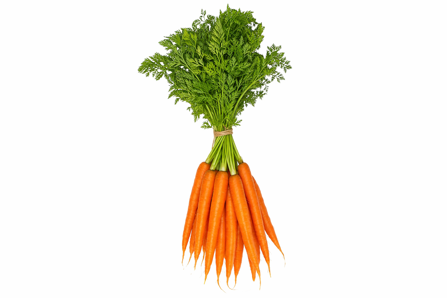 Carottes