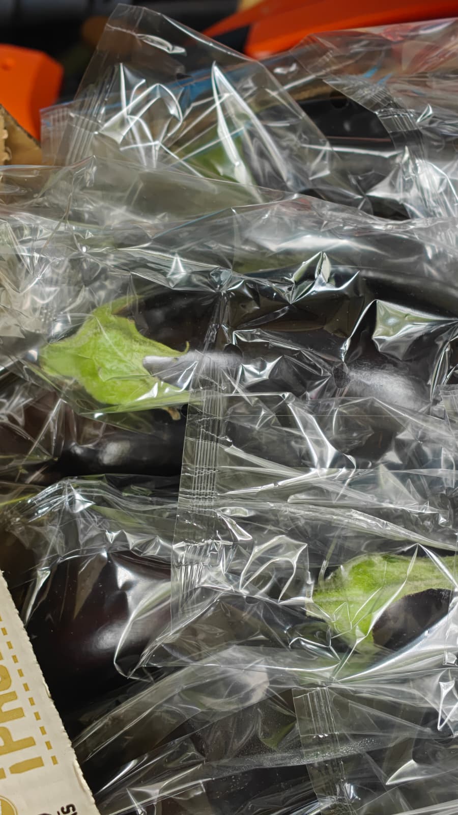 Aubergine