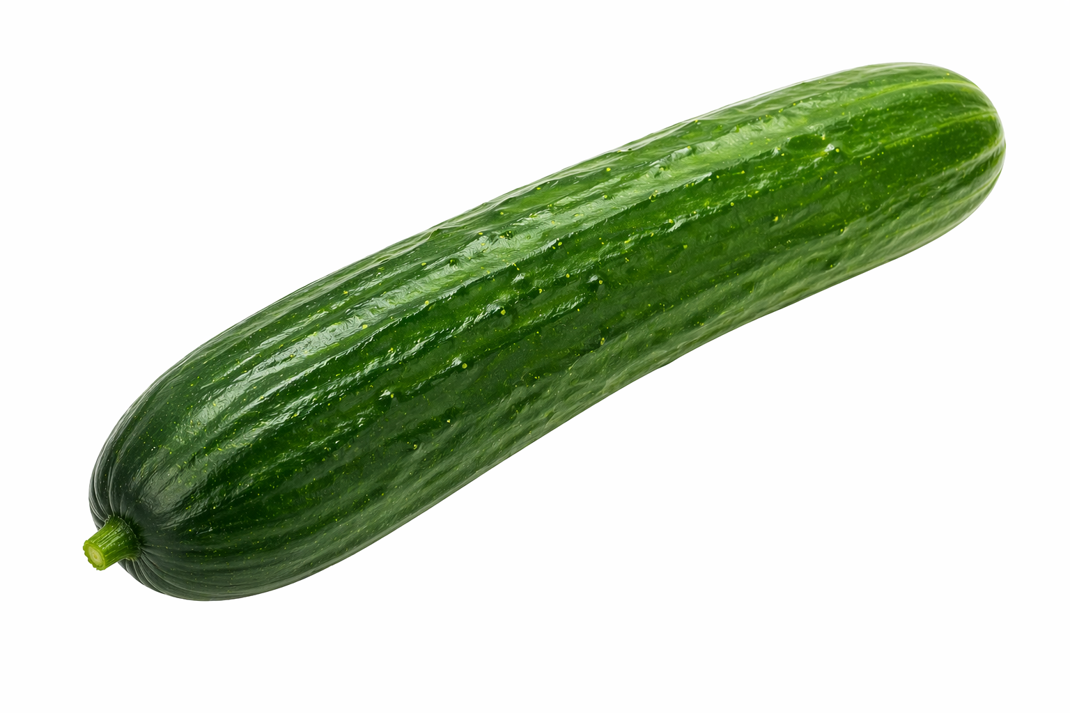 concombre